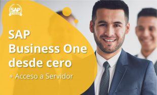 SAP Business One desde cero