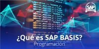 QUÉ ES SAP BASIS