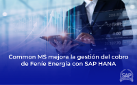 LA GESTIÓN DEL COBRO DE FENÍE ENERGÍA CON SAP HANA